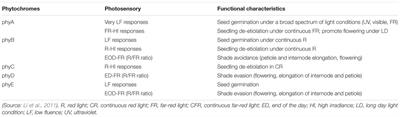 Phytochrome and Phytohormones: Working in Tandem for Plant Growth and Development